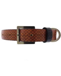 Leather Dog Collars | Jon Wye - FRED FRED