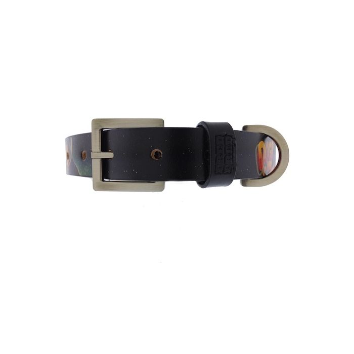 Dogs in Space Dog Collar